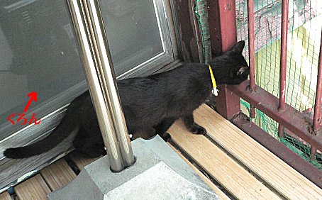 くろん、夜 くろん、夜