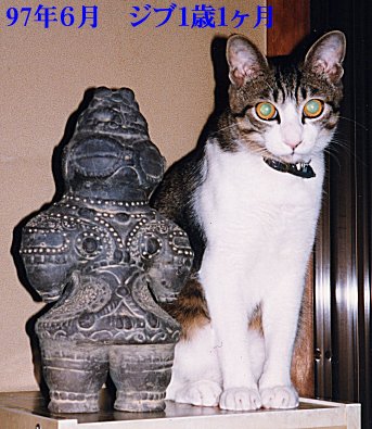 ジブ　２