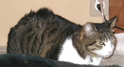 どお？流行でしょう？