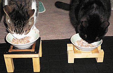 ご飯