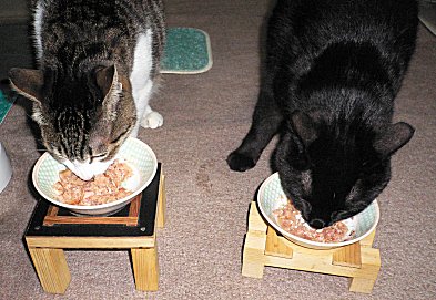 ジブとくろん