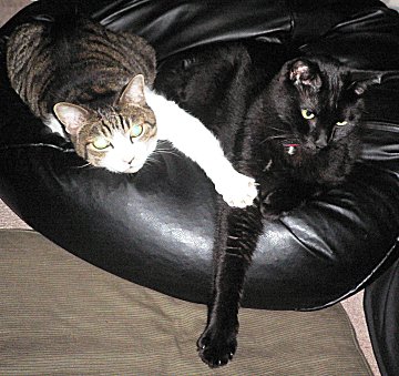 ジブとくろん