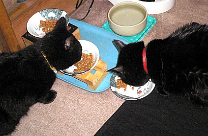 くろんと夜　１