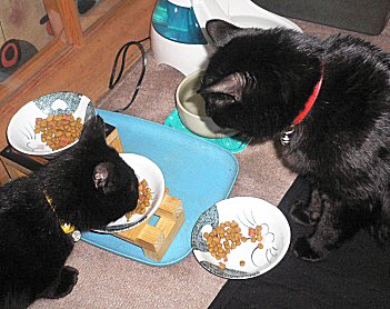 くろんと夜 2 くろんと夜 2