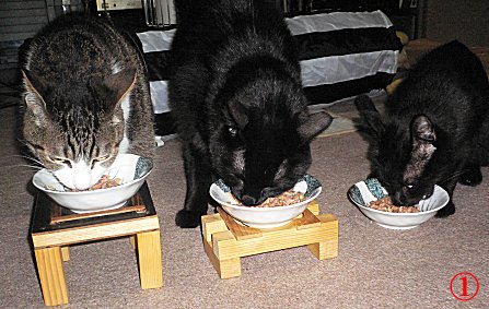 ジブ、くろん、夜