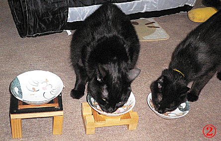 くろん、夜 くろん、夜