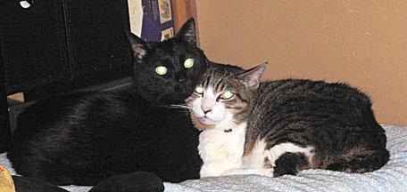 ジブ、くろん　１