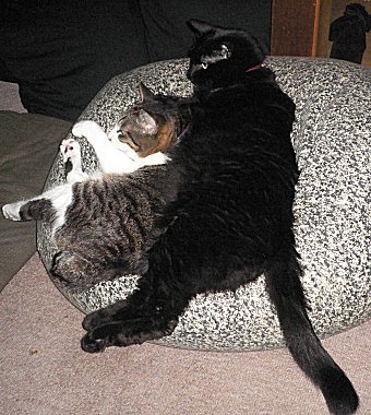 ジブ、くろん　１