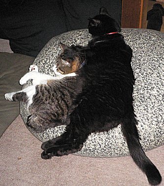 ジブ、くろん　２