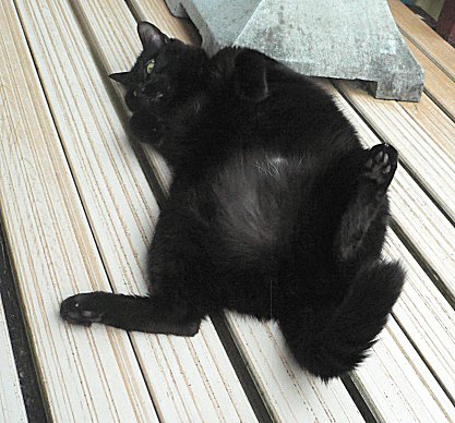 くろん 2 くろん 2